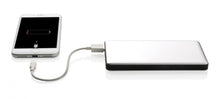 Laden Sie das Bild in den Galerie-Viewer, XD Collection Powerbank Dual 10.000 mAh 13,5 x 7 cm Alu Silber