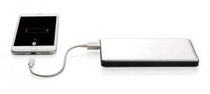 XD Collection Powerbank Dual 10.000 mAh 13,5 x 7 cm Alu Silber
